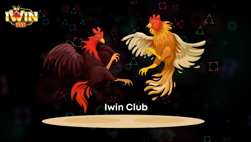 Game đá gà cực hot tại Iwin Club